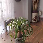 El Balcon De Apartment *