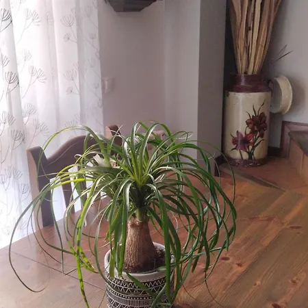 El Balcon De Apartment *