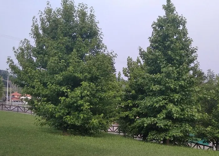 El Balcon De Apartment Villapresente