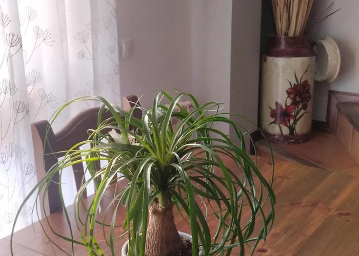 El Balcon De Appartement *